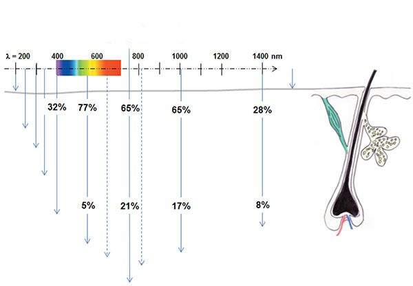 illustration profondeur de pénétration du rayonnement optique dans la peau